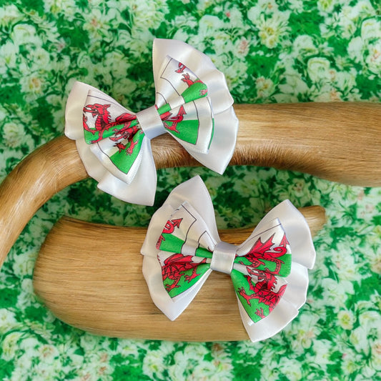 St David day themed hair clip